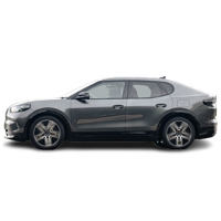 Barres de toit aluminium, barre de toit Acier, fixation de toit, barre de toit universel Ford Capri EV