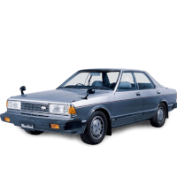 Chaussettes neige Chaines neige au meilleur prix pour NISSAN BLUEBIRD 